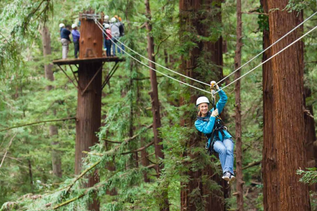 things to do in San Jose:  Mount Hermon Adventures 