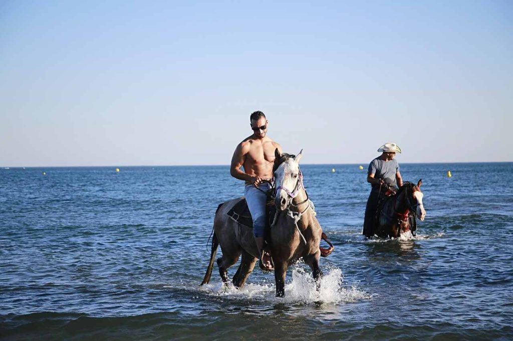 Things to Do in Turks and Caicos: Horseback Ride in Water